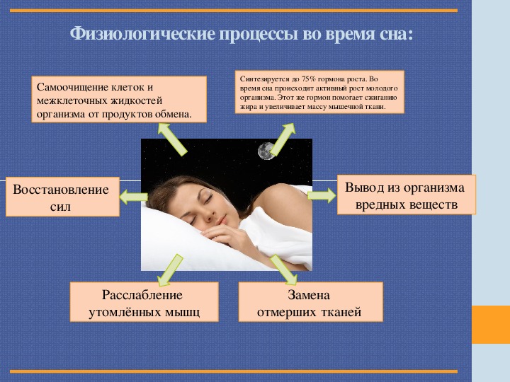 Состояние организма при котором замедляется жизненные процессы. Сон это физиологический процесс. Физиологические процессы. Физиологические процессы в организме человека. Процессы происходящие во сне.