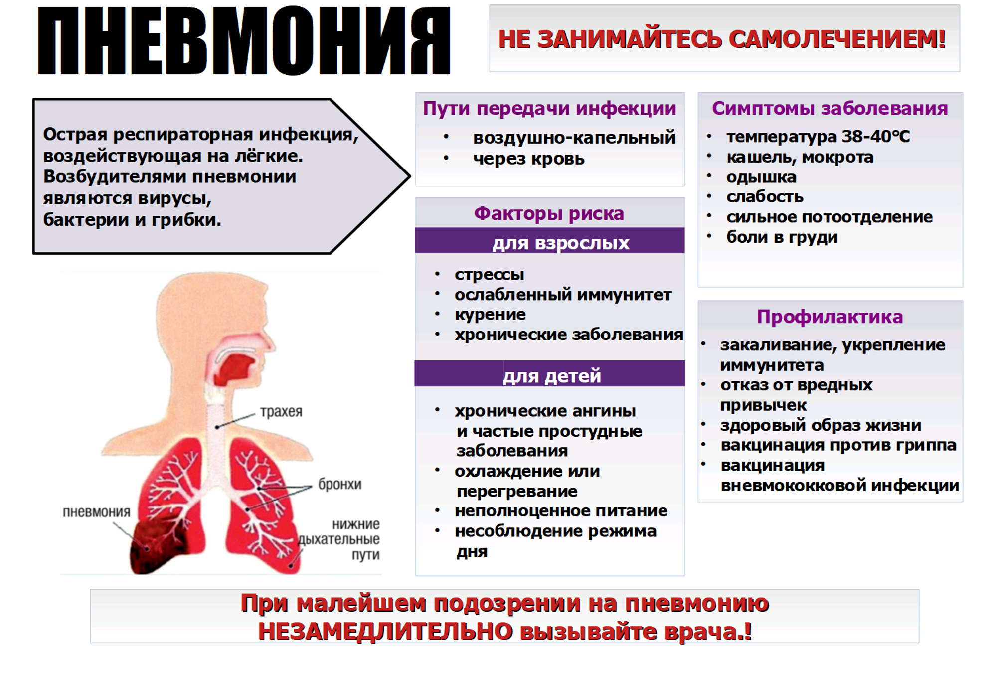 Пневмония симптомы у взрослых. Восполении лёгких, симптомы.