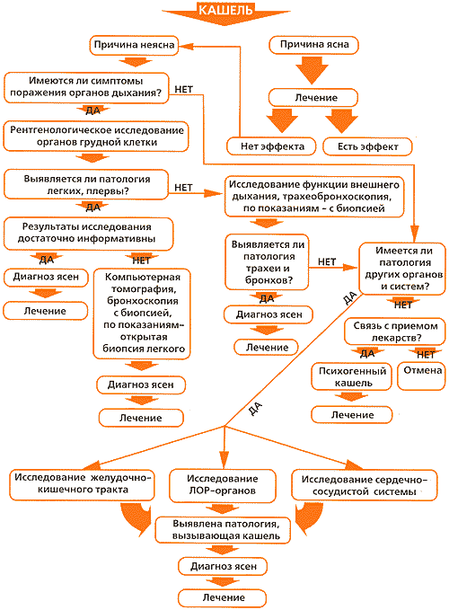 Схема лечения сухого кашля у взрослого