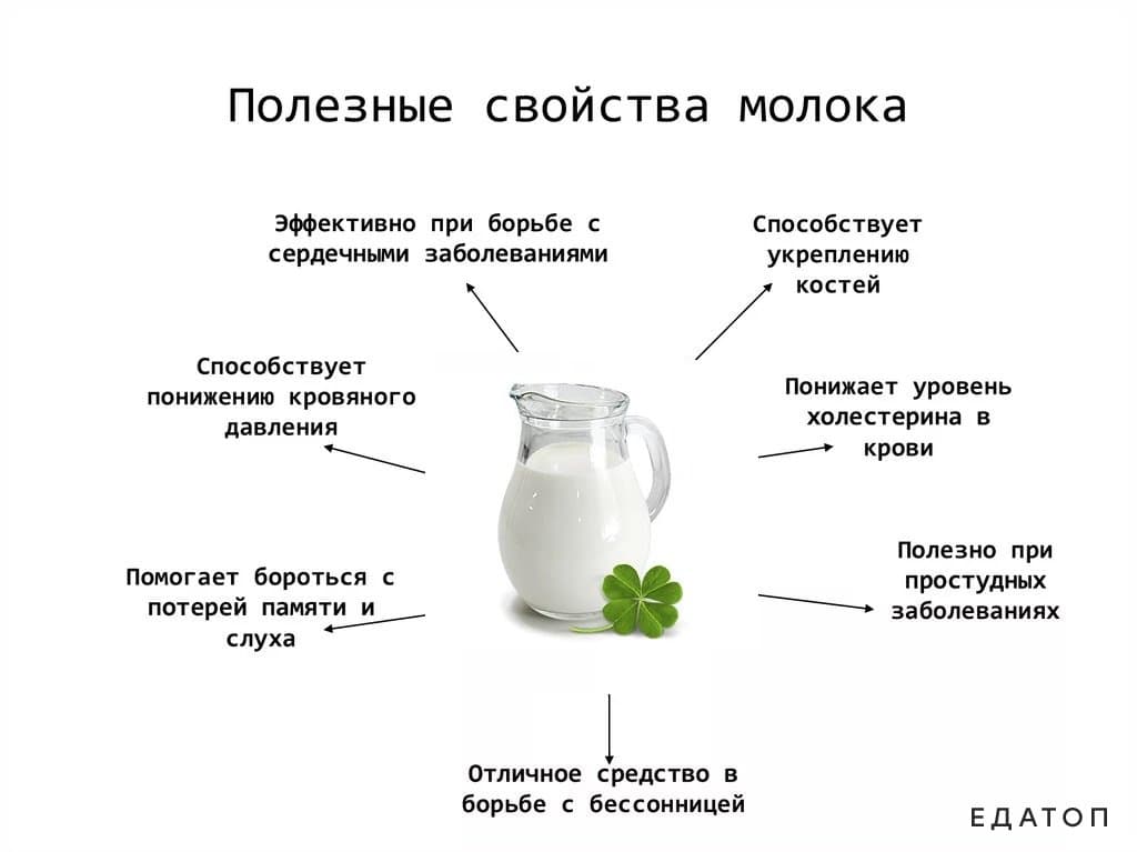 Молоко: польза и вред | food and health