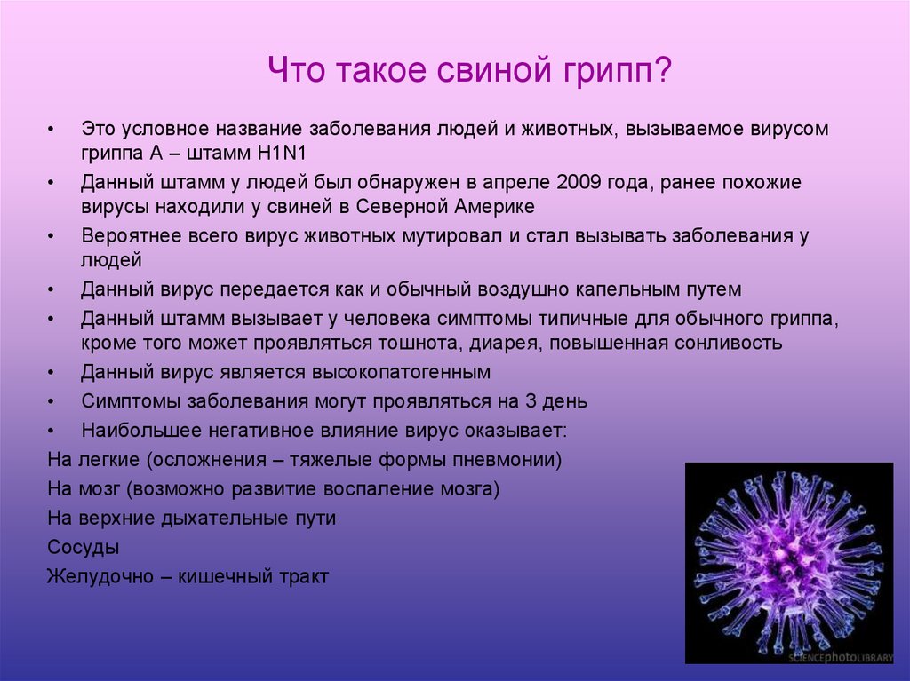 Грибы заболевания вызываемые вирусом. Вирус гриппа h1n1. Свиной грипп презентация. Вирусы и вирусные заболевания. Патогенез гриппа а h1n1.