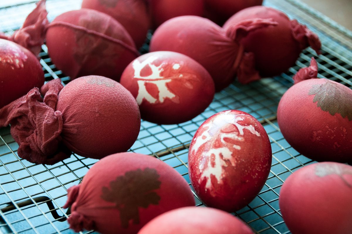 Как покрасить яйца каркаде в домашних условиях