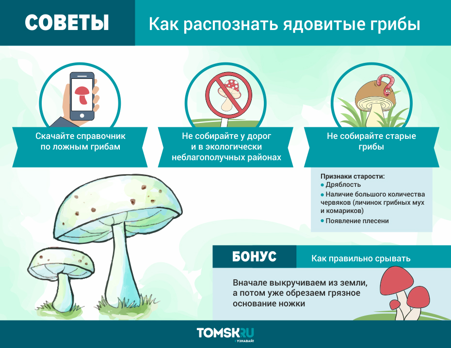 10 новых штрафов для дачников 2022 года, о которых не все знают