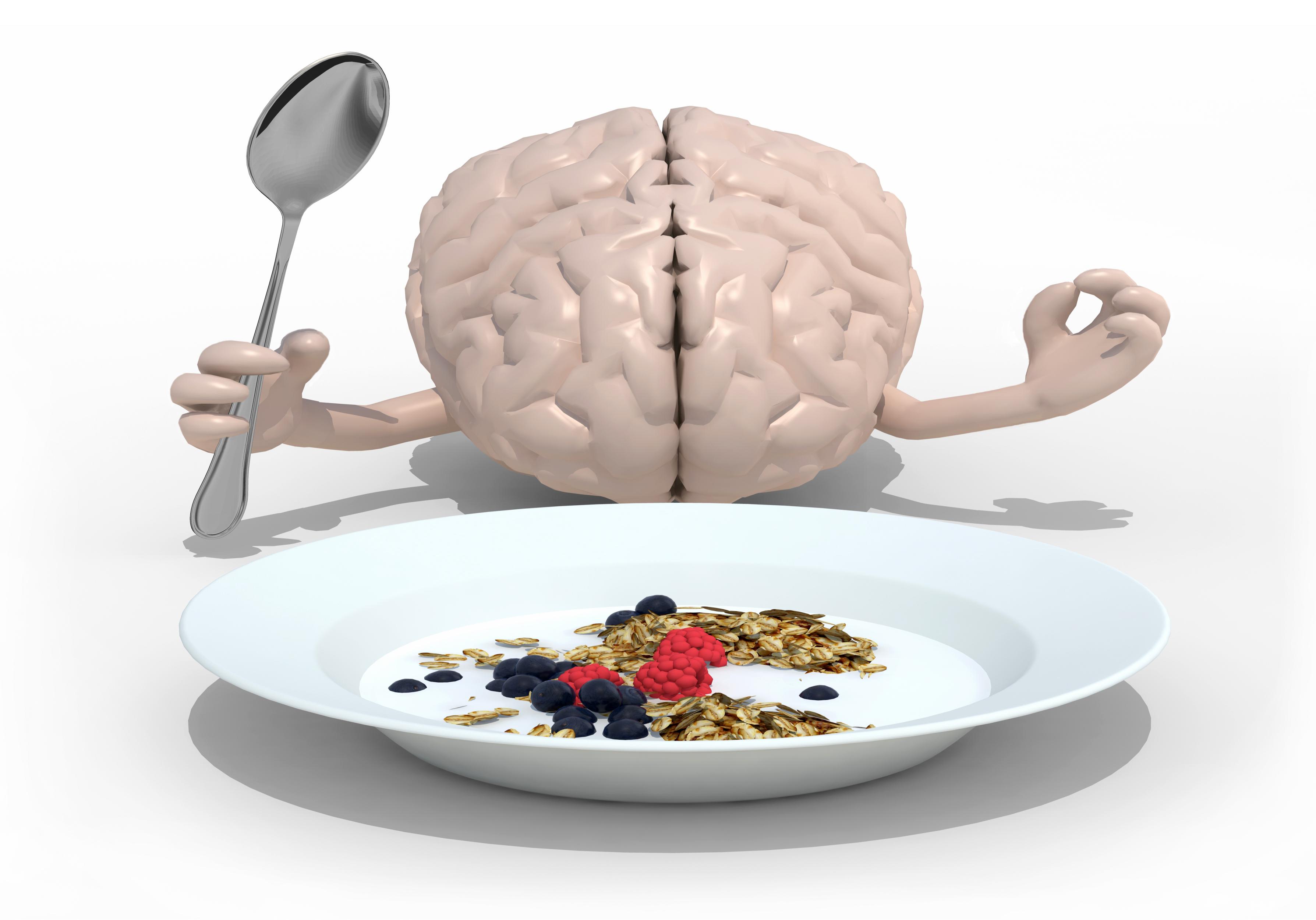 Стресс жиры. Питание для мозга. Правильное питание для мозга. Пища для размышлений.