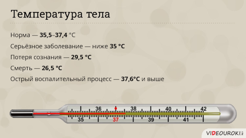 Температура тела. Показатели нормальной температуры тела у взрослого. 37 И 5 температура это нормально.