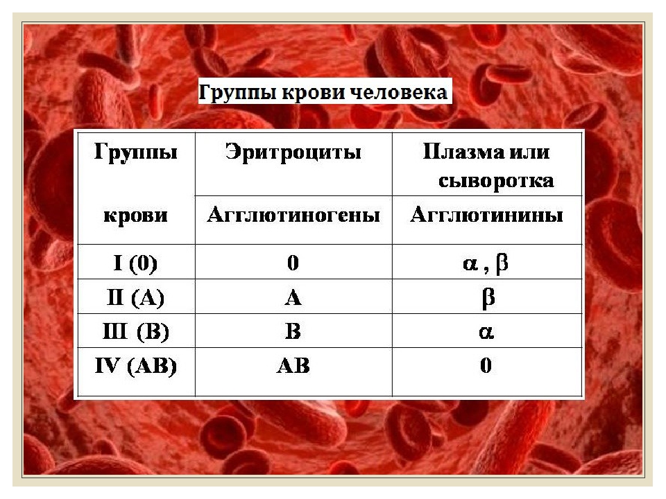 Группа крови подготовка