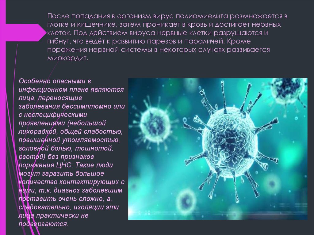После попадания в организм. Вирус полиомиелита. Вирус в организме. Попадание вируса в организм. Вирус полиомиелита презентация.