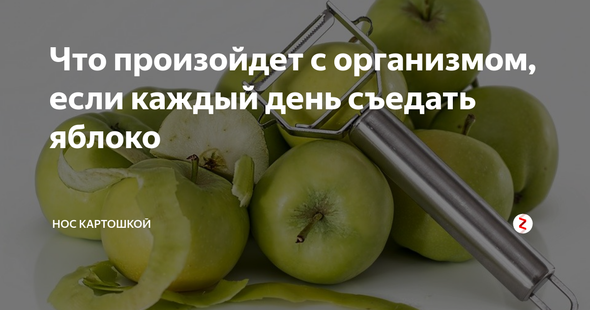 Здоровое питание — рекомендации врача-эндокринолога