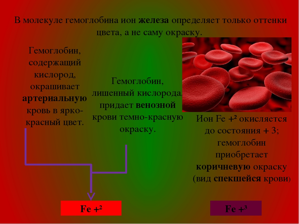 Какое соединение молекулы гемоглобина с кислородом. Красный цвет гемоглобина. Вещество придающее крови красный цвет. Цвет крови и гемоглобин.