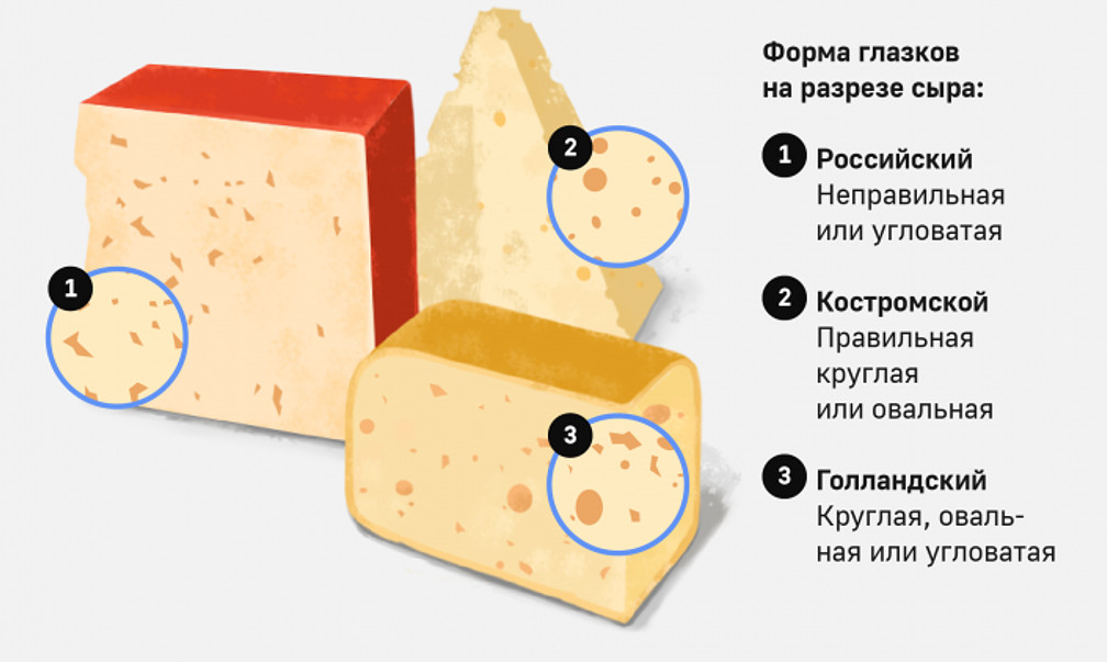 Как отличить сыр. Сыр в разрезе. Разновидности сыров. Сыр российский в разрезе. Форма для сыра.
