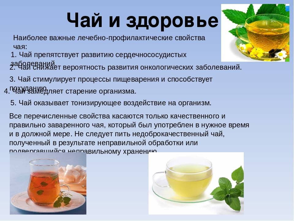 Есть ли в зеленом чае. Полезные свойства чая. Полезные чаи для организма. Чем полезен чай. Полезные качества зеленого чая.